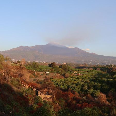 Il Pampaleone Glamping And Resort أتشيريالي المظهر الخارجي الصورة