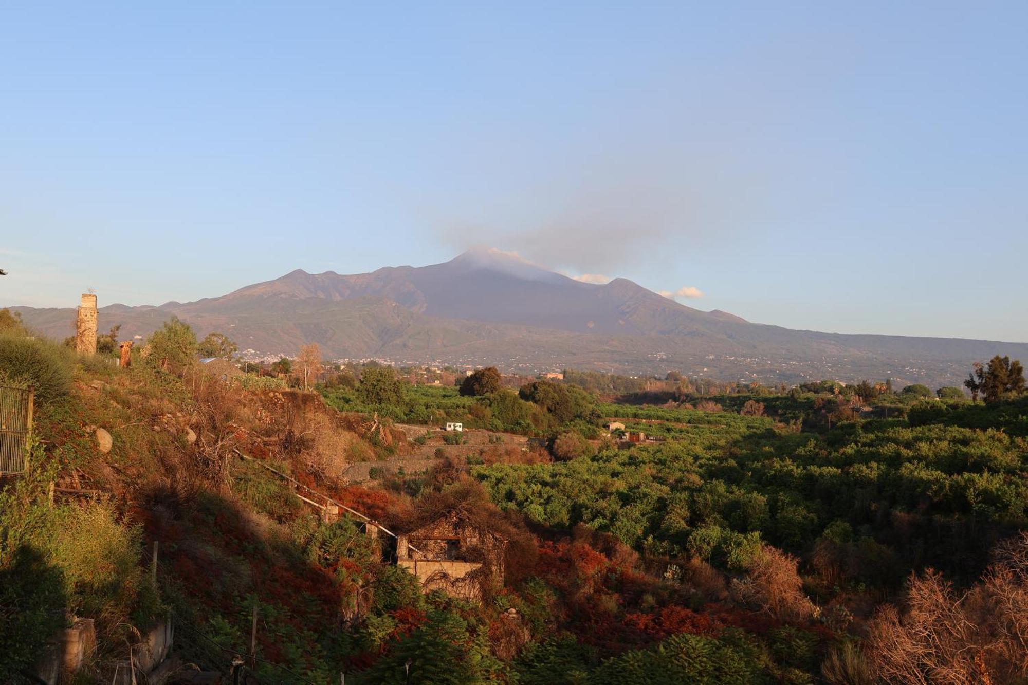 Il Pampaleone Glamping And Resort أتشيريالي المظهر الخارجي الصورة