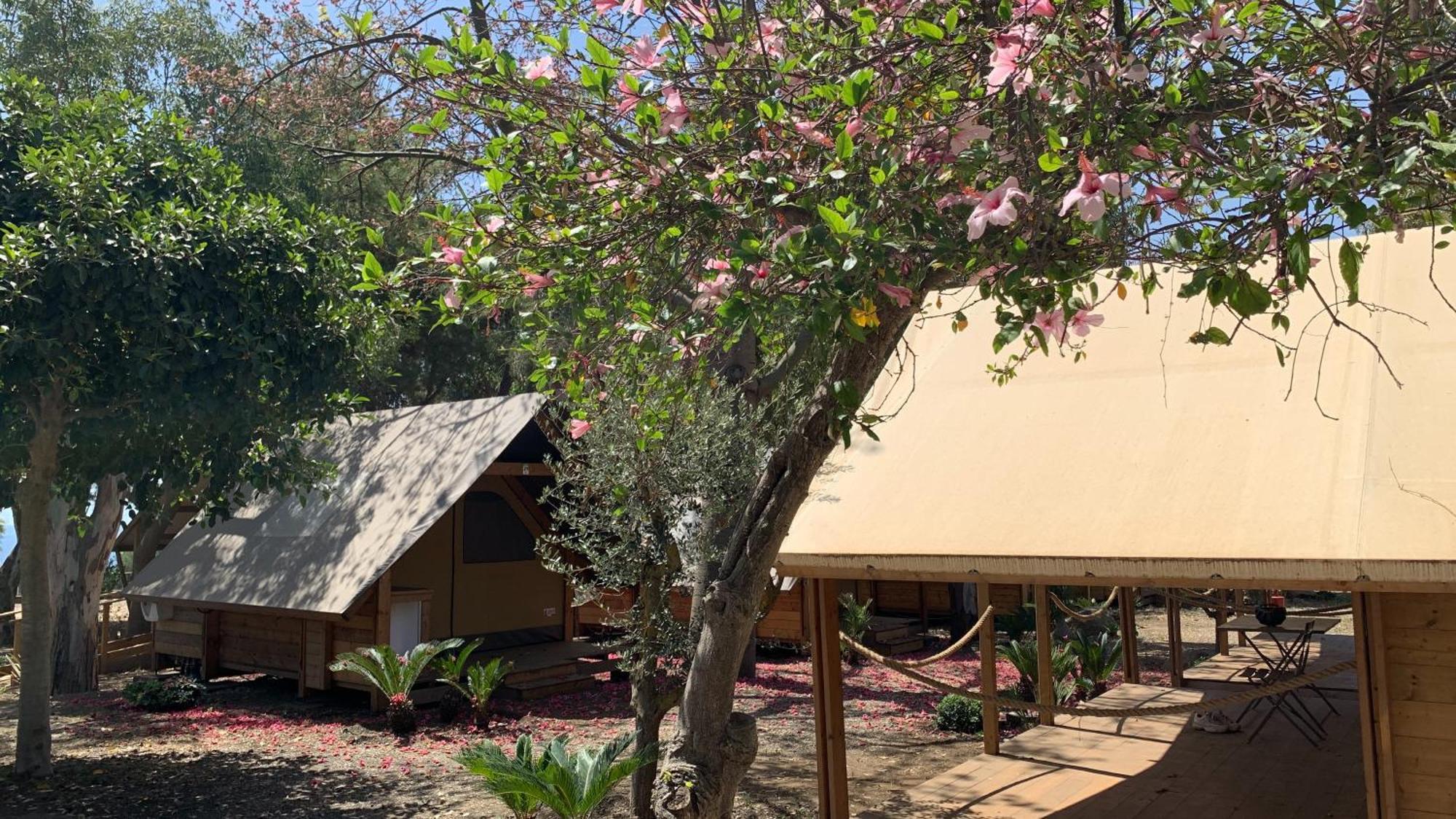 Il Pampaleone Glamping And Resort أتشيريالي المظهر الخارجي الصورة